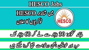 HESCO Jobs 2024 Online Apply