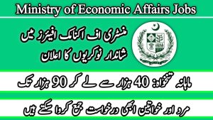 Ministry of Economic Affairs Jobs 2024 Online Apply