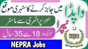 NEPRA Jobs 2024 Online Apply