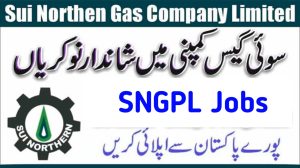 SNGPL Jobs 2024 Online Apply