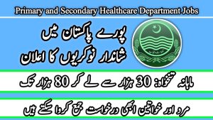 Primary and Secondary Healthcare Department 2024 Online Apply