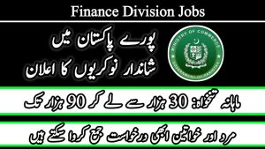 Finance Division Jobs Online Apply 2023