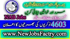 NAB Jobs 2024 Application Form - National Accountability Bureau Careers