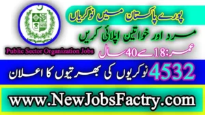 Public Sector Organization Jobs 2024 application form