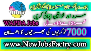 WAPDA Jobs 2024 Application Form