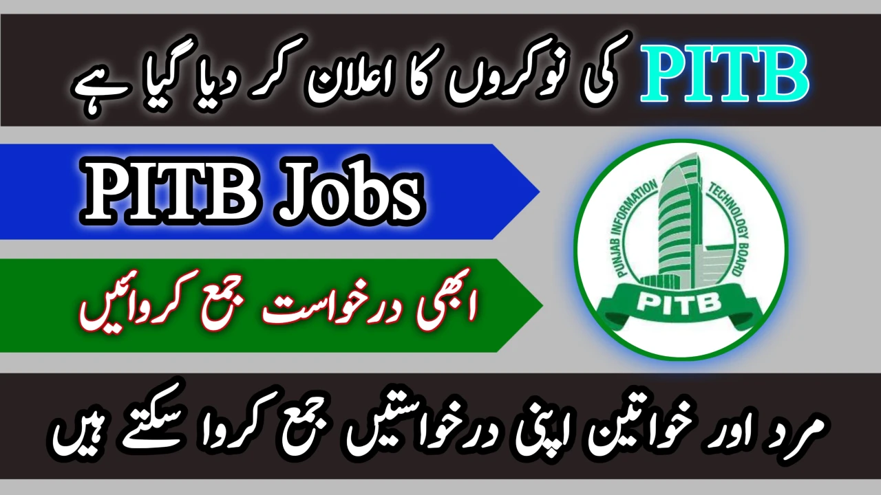 PITB Jobs 2024 Punjab Information Technology Board Jobs Online Apply   Pitb Jobs.webp